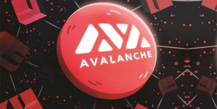 Avalanche Meme Szn 智能货币更新