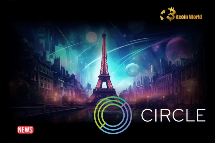 [尼约宇宙]Circle 在法国获得有条件注册