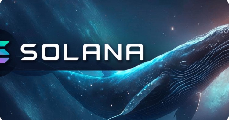 Solana (SOL) 鲸鱼大规模移动，每月价格上涨 80% Lookonchain 的分析