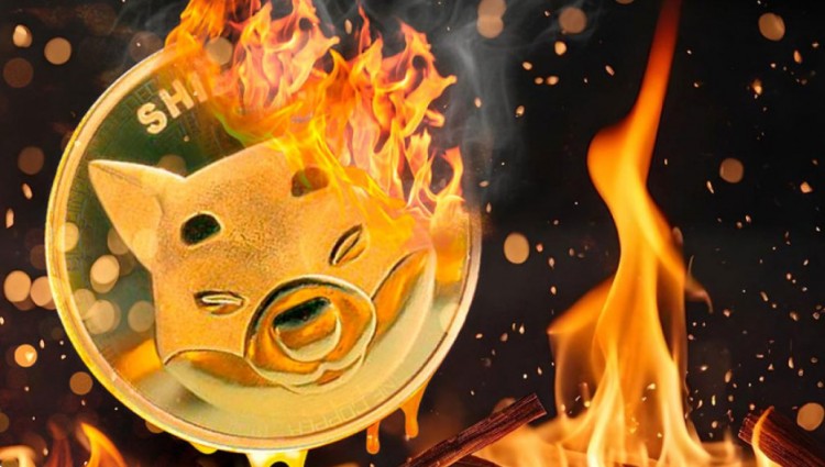 Shiba Inu Burn Rate Soars 2,555%: Will Price Rise?