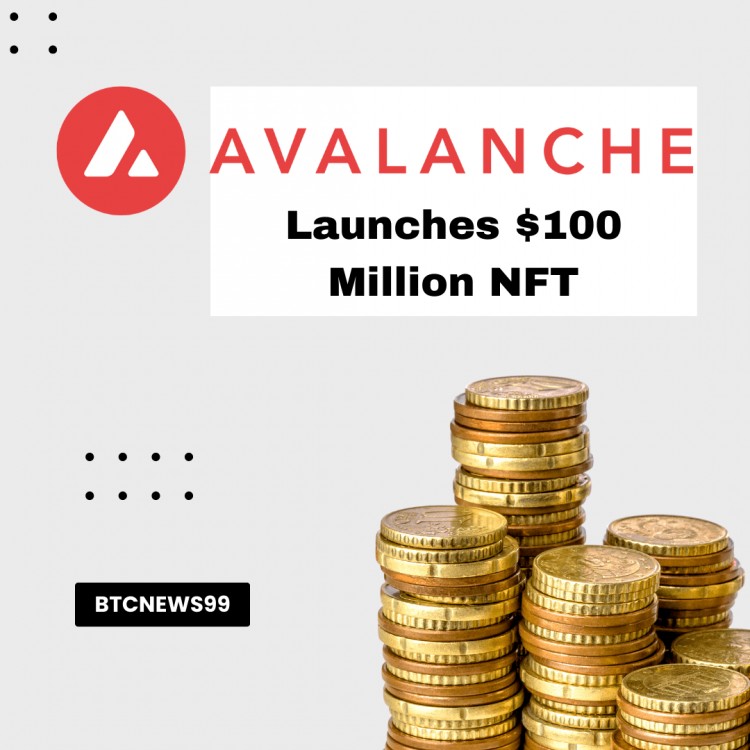 Avalanche基金会1亿美元NFT计划进军Meme币领域，拥抱Meme币文化，促进区块链艺术和文