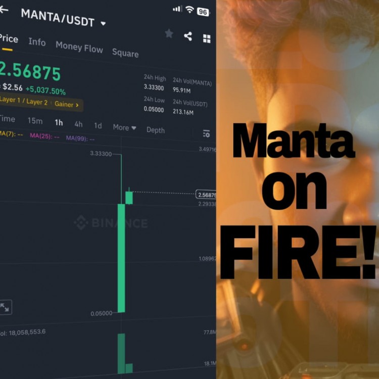 Manta：革命性的虚拟机项目即将上线