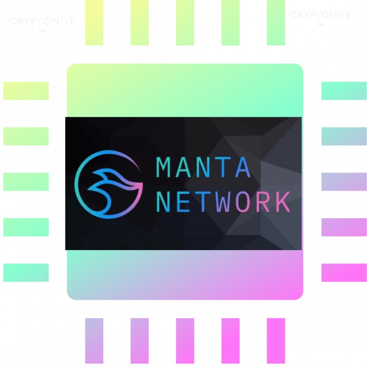 Manta Network 遭受DDoS攻击，价格下滑，交易时间延长