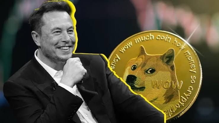 Elon Musk and Dogecoin: Mystery of DOGE Ownership