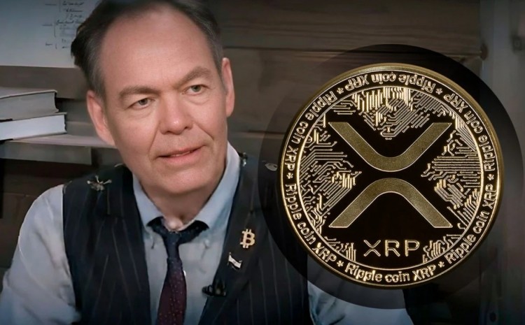 Max Keizer 预测 XRP 相对于比特币将跌至虚拟零