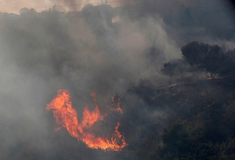 [涡流]智利森林火灾造成51人死亡，威胁城市地区
