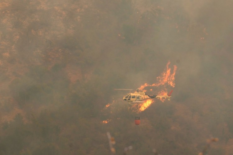 智利森林火灾造成51人死亡威胁城市地区