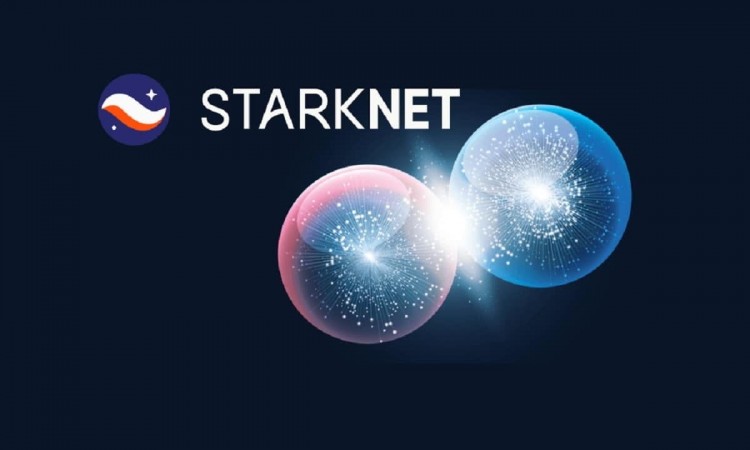 Strike and Starknet: Understanding the Difference