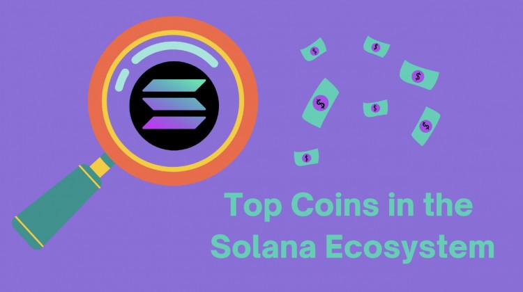 SOLANA生态系统中的顶级代币2024年您应该购买的3种代币