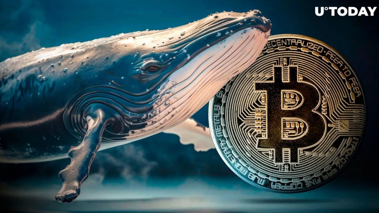 比特币鲸鱼在市场不确定中抢购411亿美元BTC在加密货币市场波动的背景下一位著名的比特