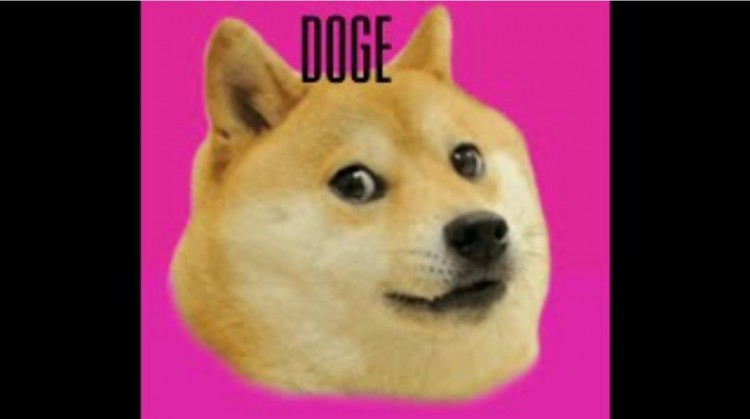 DogeCoin：加密货币世界的模因奇迹
